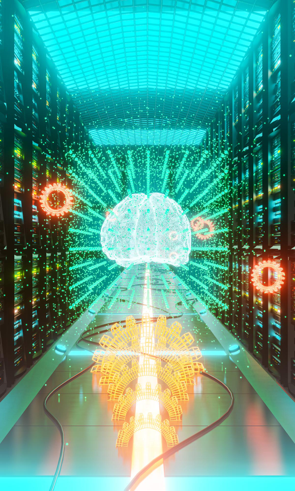 Avocat politique de confidentialité